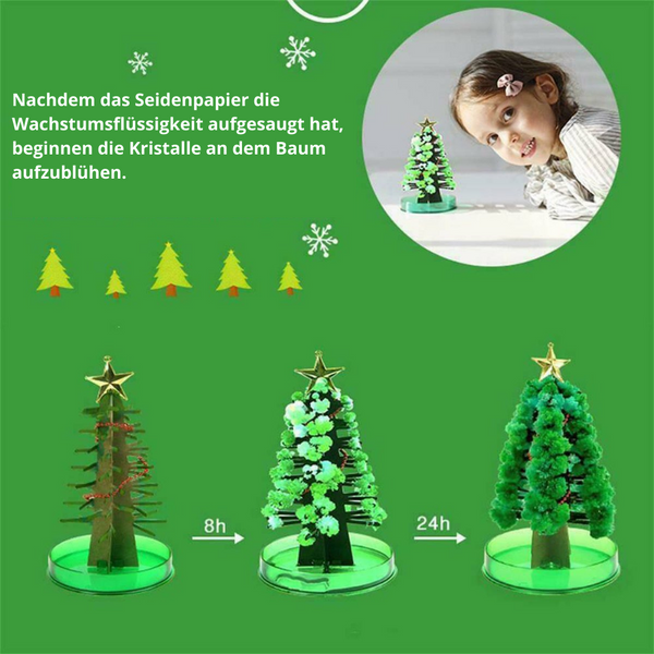 Pineve™ - Züchte deinen eigenen Weihnachtsbaum